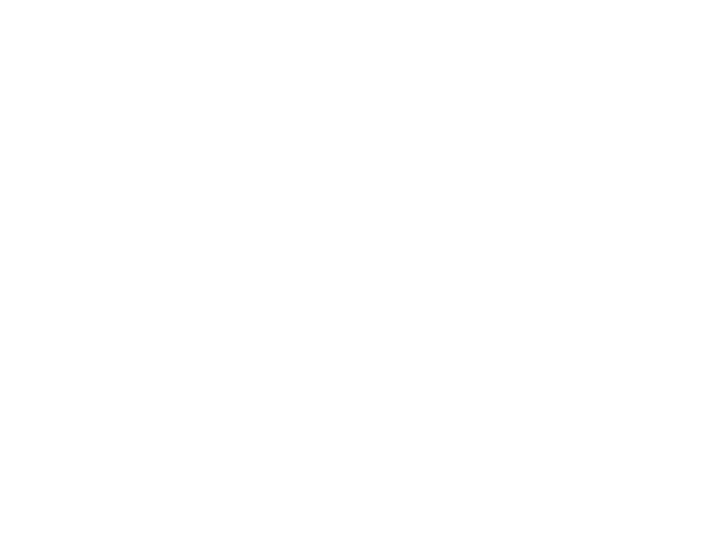 BSA Troop 982 Logo